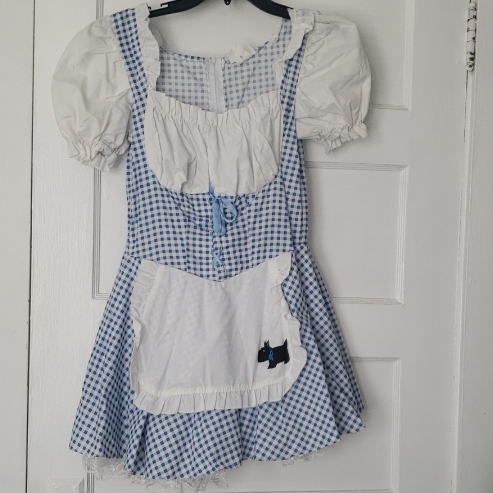 Dorothy adult costume